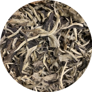 White PuErh Tea